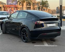 تێسلا مۆدێلی Y